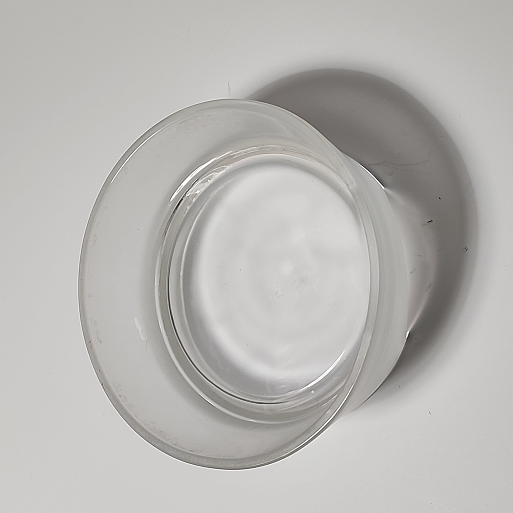 Target Brand Glass Pet Bowl